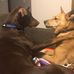 Tim Fiske - Facebook