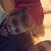 Timothy Fiske - Facebook