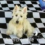 Tim Fitch - @tim.fitch.35 - Instagram