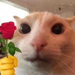 Tim Fite - @timfite91184 - Instagram