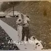timtamfite - @timtamfite - TikTok