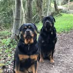 Tim Fogarty - @fogarty1949 - Instagram