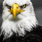 Tim Franks - @timfr4 - Instagram