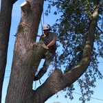 Tim franks - @clover_tree_service - Instagram