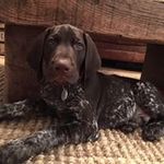 Tim Friday - @timpfriday - Instagram