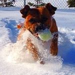 Timothy Friday - @tim_friday - Instagram