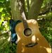 Tim Frisch LIVE in OZ - Facebook