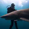 Blue Water Origin, Tim Fuchs - @bluewaterorigin - TikTok
