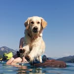 Tim Fuchs - @timfuchs13 - Instagram