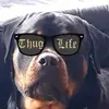 Tim Fuchs - @timfuchs5 - TikTok