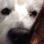 Tim Fulkerson - @tim__fulkerson - Instagram