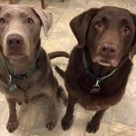 Tim Galvin - @tjgalvin68 - Instagram