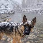 Tim Galvin - @galvintim - Instagram