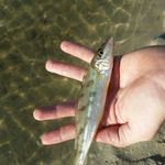 Tim Garland - @pinewoodtim - Instagram