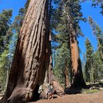 @tim.garrow - Instagram