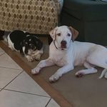 Tim Gaudet - @k2axis007 - Instagram