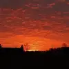 Tim Geesaman - @timgeesaman04 - TikTok