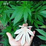 Tim Gerber - @einzelkampfer_ein_leben_lang - Instagram