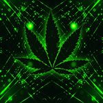 Tim Gerber - @acc073210 - Instagram