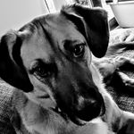 tim gerber - @gerber4358 - Instagram