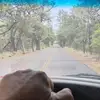 timgermain2 - @timgermain2 - TikTok