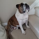 Tim Gillis - @zombieobama - Instagram