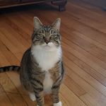 Tim Gilmour - @gilmour8361 - Instagram