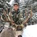 Tim Gingerich - Facebook