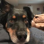Tim and Marcia Goodall - @timandmarciagoodall - Instagram