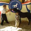 Tim Goossens - @tim.goossens - TikTok