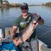 Tim Gower - Facebook