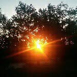 Tim Gower - @gowertim - Instagram