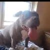 Tim Gower - @tim.gower3 - TikTok
