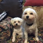 Tim Gower - @tim.gower.7737 - Instagram