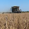 Tim Grable - @cottonwoodcreekfarms - TikTok