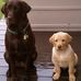 Tim Gribbin - Facebook