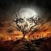 Timothy Gribbin - Facebook