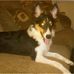 Timothy R Griswold - Facebook