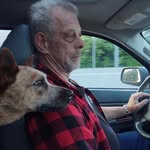Tim Guffey - @guffeyt18 - Instagram