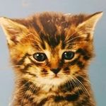 Tim Hack - @tim.hack - Instagram