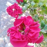 timHaida - @timhaida - Instagram