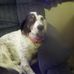 Tim Halligan - Facebook