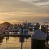 Tom Hallinan - @tom.hallinan - TikTok
