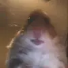Tim Beathalter - @timbeathalter - TikTok
