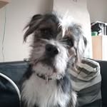 Tim Hamann - @tim_hamann_ - Instagram