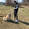 Tim Hamann - @timhamann - TikTok