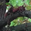Tim Hamann - @tim.hamann3 - TikTok