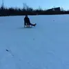 Tim Hamann - @user51559672 - TikTok