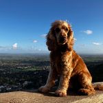 Tim Hamblin - @tim_hamblin73 - Instagram