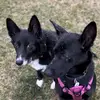 Timarah - @timarahhammack - TikTok